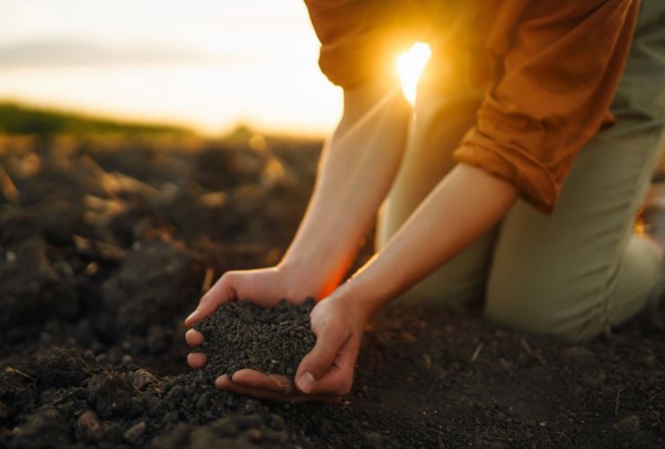 Come ottenere il bonus agricoltura