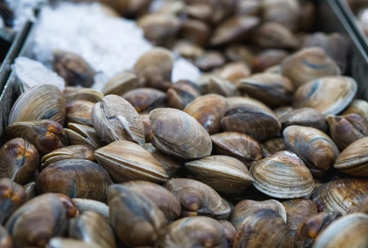 Vongole 