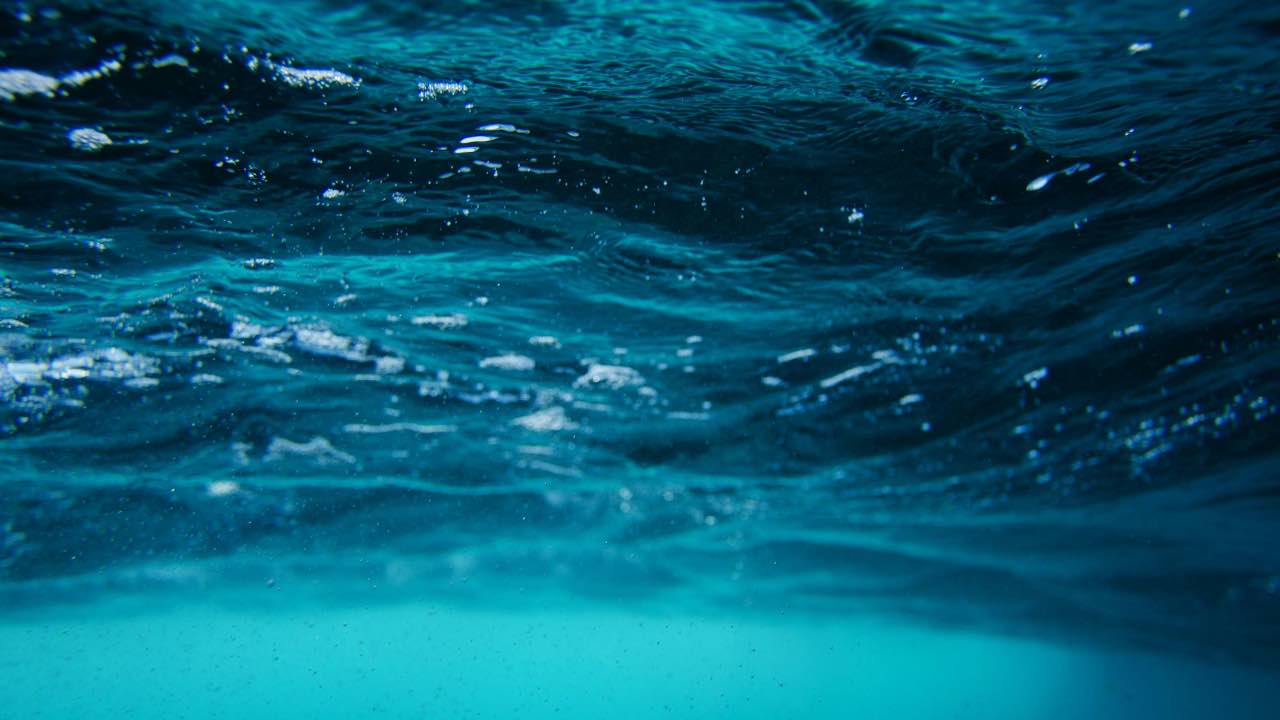 mare inquinato - batteri - pexels- skyvape