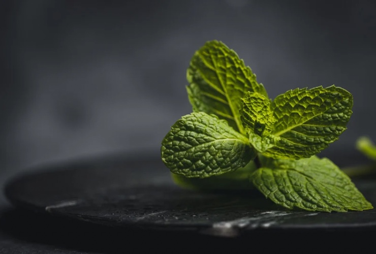 Menta
